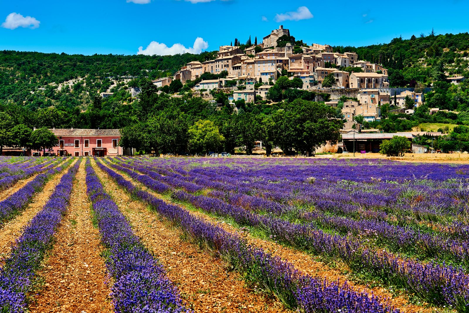 I Base My Travels Around Perfume&-Here Are 7 Cities to Visit for an Olfactory Immersion