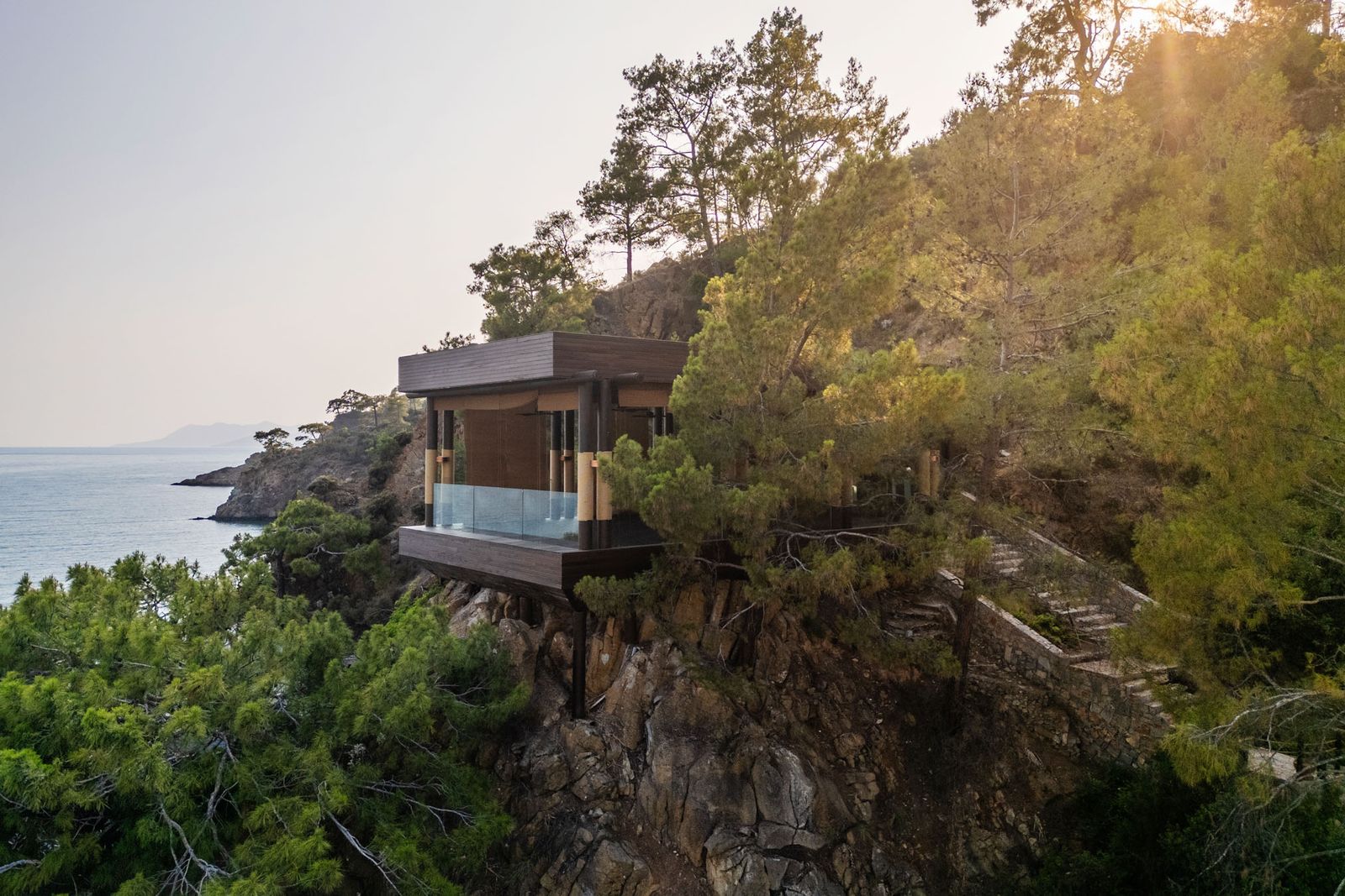 Exploring the Role of Human Connection in Modern Wellness